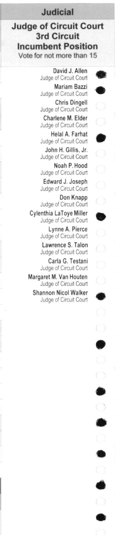 Primary-style BMD ballot example 17